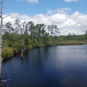 Meet your Posher, Candice